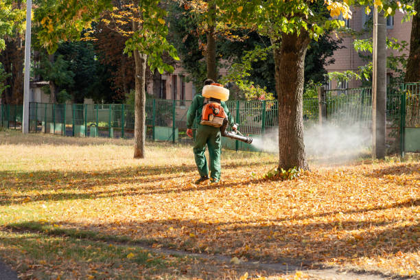 Best Pest Control Near Me in Hillsboro, IL